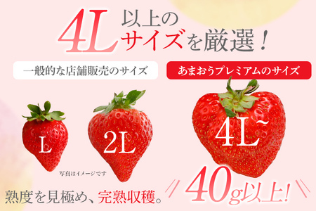 【ふるなび限定】桐箱入り高級あまおうギフト(9~15玉)450g いちご 苺 FN-Limited-SP BD015