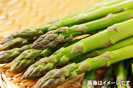 【ふるなび限定】【朝採新鮮】スナックアスパラガス 1.0kg（6月～10月に順次発送） FN-Limited-PR CC06