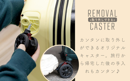 【先行予約品】スーツケース キャリー LMサイズ(エンボス/ガンメタリック) [PROEVO] [10003S] AY342 