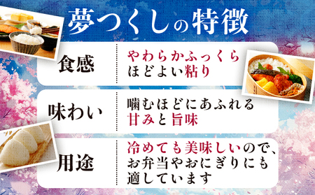 【新米】米 令和７年産 福岡県産 夢つくし 5kg  【14営業日以内に発送】CY008