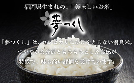 米 福岡県産 夢つくしパックごはん 玄米 24P【14日営業日以内に発送】CY004