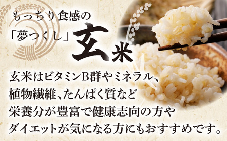 米 福岡県産 夢つくしパックごはん 玄米 24P【14日営業日以内に発送】CY004