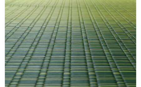 掛川織り福岡花ござ「大自然」草原（3畳　174×261cm）　AA309