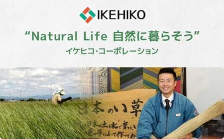 ウィルトンカーペット ロザリオ 200×250ｃｍ ＢＥ イケヒコ・コーポレーション AA463