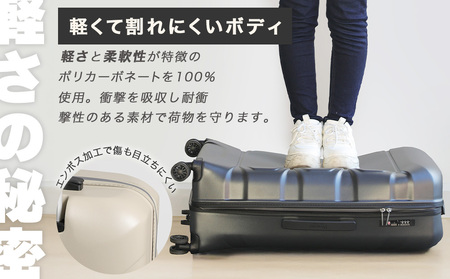 スーツケース キャリー [Proevo]  13001-3 Lite Frex 超S AY382 13001 (D.グレー/サンドベージュ/Sサイズ)