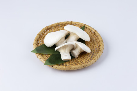 食欲の秋！きのこの詰め合わせ(ぶなしめじ・ゆきれいたけ・王リンギ各3パック)　AT16f FN-Limited-PR