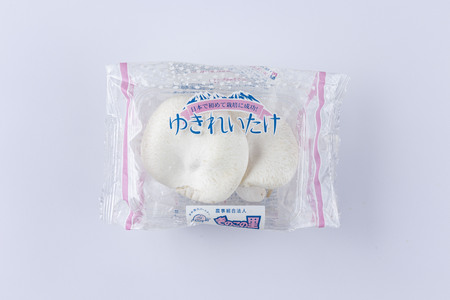 珍しいきのこ ゆきれいたけ5パック　AT19