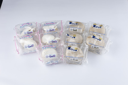 珍しいきのこ2種セット(ゆきれいたけ5パック・王リンギ5パック) AT20