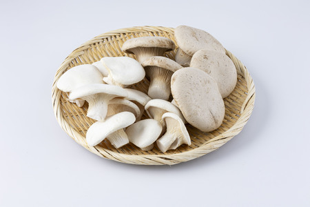 珍しいきのこ2種セット(ゆきれいたけ5パック・王リンギ5パック) AT20