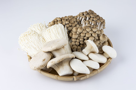 大木町のきのこセット(ぶなしめじ・ゆきれいたけ・王リンギ・えのきたけ各1パック)　AT25