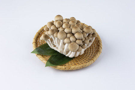 大木町のきのこセット(ぶなしめじ・ゆきれいたけ・王リンギ・えのきたけ各2パック)　AT26