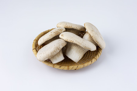 大木町のきのこセット(ぶなしめじ・ゆきれいたけ・王リンギ・えのきたけ各3パック) AT27