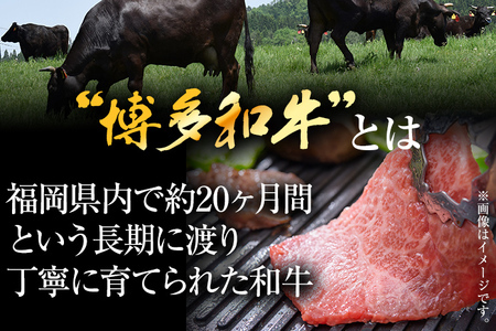 【先行予約】訳あり!【A4~A5】博多和牛焼肉切り落とし(肩ロース・バラ) 500g CP021er