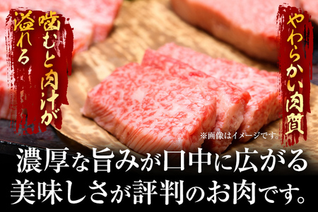 【先行予約】訳あり!【A4~A5】博多和牛焼肉切り落とし(肩ロース・バラ) 500g CP021er