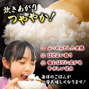 【定期便：６ケ月】令和７年産 福岡県産米 元気つくし 5kg 精米 CY011sub6