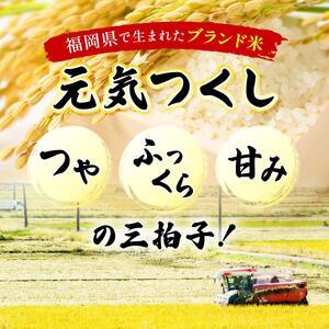 【定期便：３ケ月】令和７年産 福岡県産米 元気つくし 15kg 精米 CY013sub3