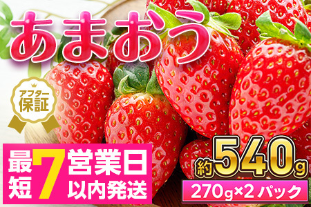 あまおう 約270g×2P 計540g 【7営業日以内発送】あまおう