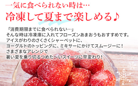 あまおう 約270g×2P 計540g 【7営業日以内発送】あまおう