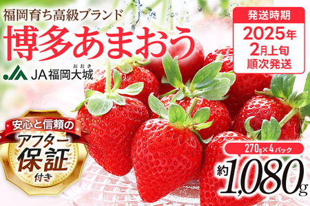 博多あまおう2箱 4パック 21年1月中旬から発送 02 0701 福岡県大木町 ふるさと納税サイト ふるなび