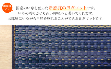 畳ヨガJAPAN　ジョイ（60×180）（レッド）　AA050