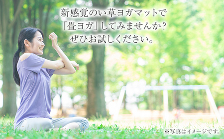 畳ヨガECO skysea (66×185)(ローズ) AA064