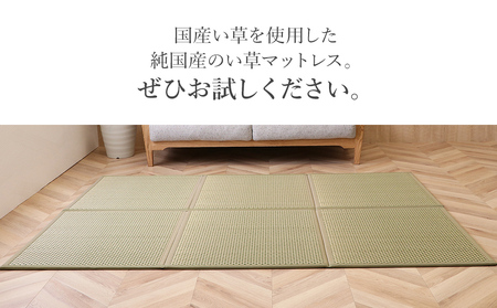 い草マットレス　フレア　シングル（グリーン）　AA069