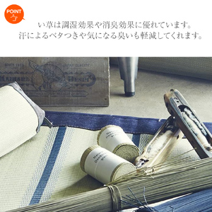 デニム使用い草マットルークス（95×150）（ネイビー）　AA074