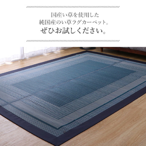 ＤＸランクス（191×250）（色：ネイビー）　AA157