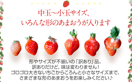 荒巻エコタロウ農園のちょっと小ぶりなたっぷりあまおう1,280g（約320g×4パック) 　中玉～小玉サイズ サイズ不揃い 【2026年2月~4月発送】BJ02