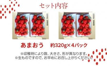 荒巻エコタロウ農園のちょっと小ぶりなたっぷりあまおう1,280g（約320g×4パック) 　中玉～小玉サイズ サイズ不揃い 【2026年2月~4月発送】BJ02