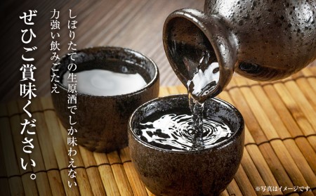特別純米 無濾過綾花生酒（720ml×2本） AB03 | 福岡県大木町