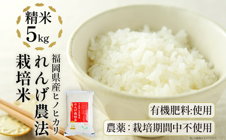 れんげ農法栽培米「ヒノヒカリ」（精米・5kg）　BI01