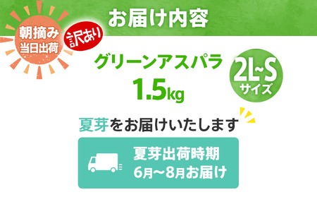 【先行予約】　朝採り直送　夏芽グリーンアスパラガス（訳あり品）２kg　BT08