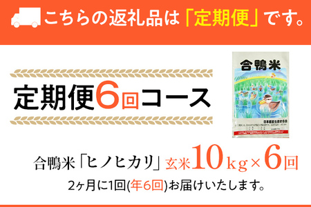 令和7年産 予約 合鴨米「ヒノヒカリ」（玄米・10ｋｇ）定期便6回コース※2025年10月中旬より順次出荷予定(隔月発送予定)　BI05　