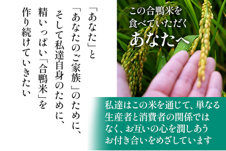 令和7年産 予約 合鴨米「ヒノヒカリ」（玄米・10ｋｇ）定期便6回コース※2025年10月中旬より順次出荷予定(隔月発送予定)　BI05　