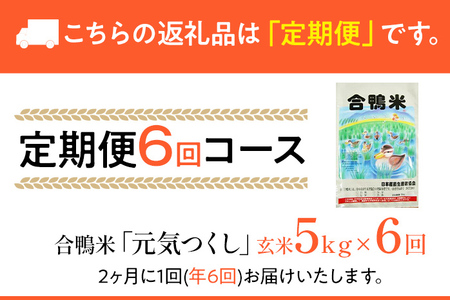 令和7年産 予約 合鴨米「元気つくし」（玄米・5ｋｇ）定期便6回コース※2025年10月中旬より順次出荷予定(隔月発送予定)　BI10　
