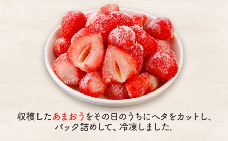冷凍あまおう スムージー専用12Ｐ CD03