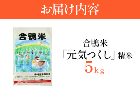 令和7年産 予約 合鴨米「元気つくし」（精米・5ｋｇ） ※2025年10月中旬より順次出荷予定　BI08　