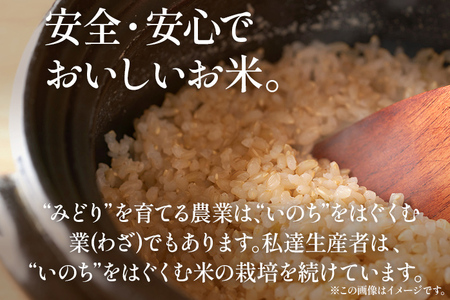 令和7年産 予約 合鴨米「元気つくし」（玄米・5ｋｇ） ※2025年10月中旬より順次出荷予定　BI09