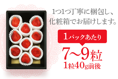 あまおうプレミアム ※2026年1月~2月頃発送予定 BD02
