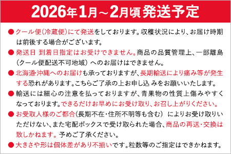 あまおうプレミアム ※2026年1月~2月頃発送予定 BD02