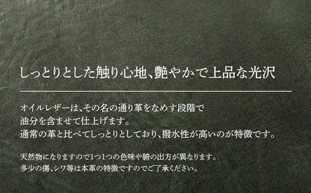 ボディーバッグ(オイルレザー・グリーン) BK086