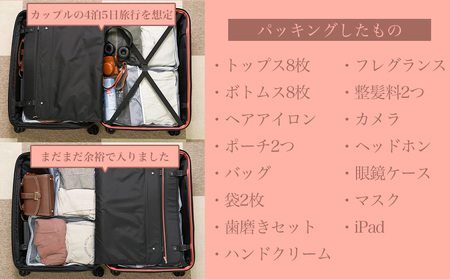 [PROEVO] ファスナーキャリー スーツケース 受託手荷物対応 Lサイズ(エンボス/アイスブルー) [10004]　AY265