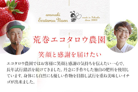 荒巻エコタロウ農園のあまおう約300g×4パック(約1200g) 【2026年1月?3月】 BJ04