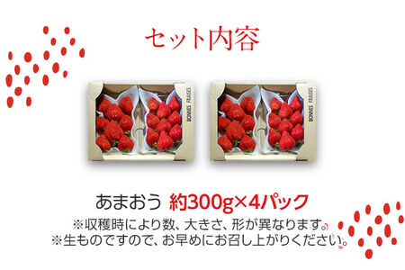 荒巻エコタロウ農園のあまおう約300g×4パック(約1200g) 【2026年1月?3月】 BJ04