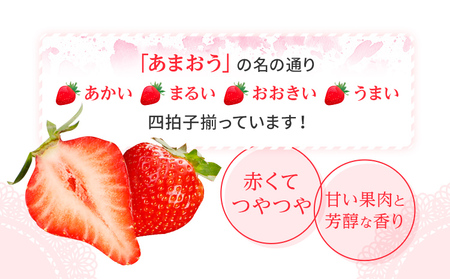 あまおうピューレ100g×10個　BD09