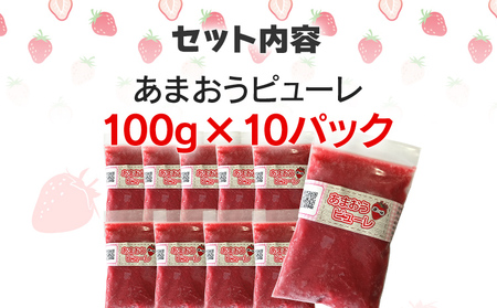 あまおうピューレ100g×10個　BD09