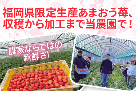 フローズンあまおう1kg(500g×2袋) BD10