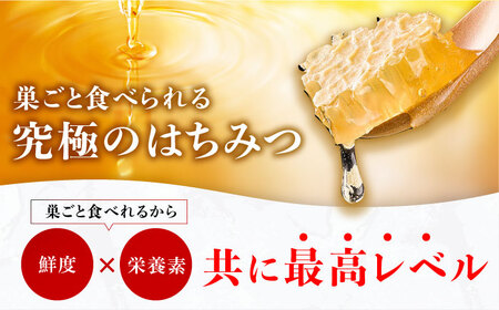 【先行受付 令和6年7月より発送】巣みつ・野山みつセット 合計440g 蜂蜜 はちみつ コムハニー 極上 濃厚 広川町 / 株式会社九州蜂の子本舗 [AFAI002]