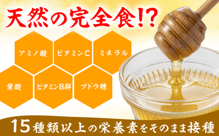 【先行受付 令和6年7月より発送】国産巣みつ 300g 蜂蜜 はちみつ コムハニー 極上 濃厚 広川町 / 株式会社九州蜂の子本舗[AFAI004]